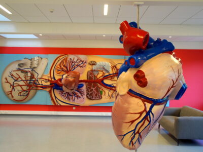 Projekt next:classroom